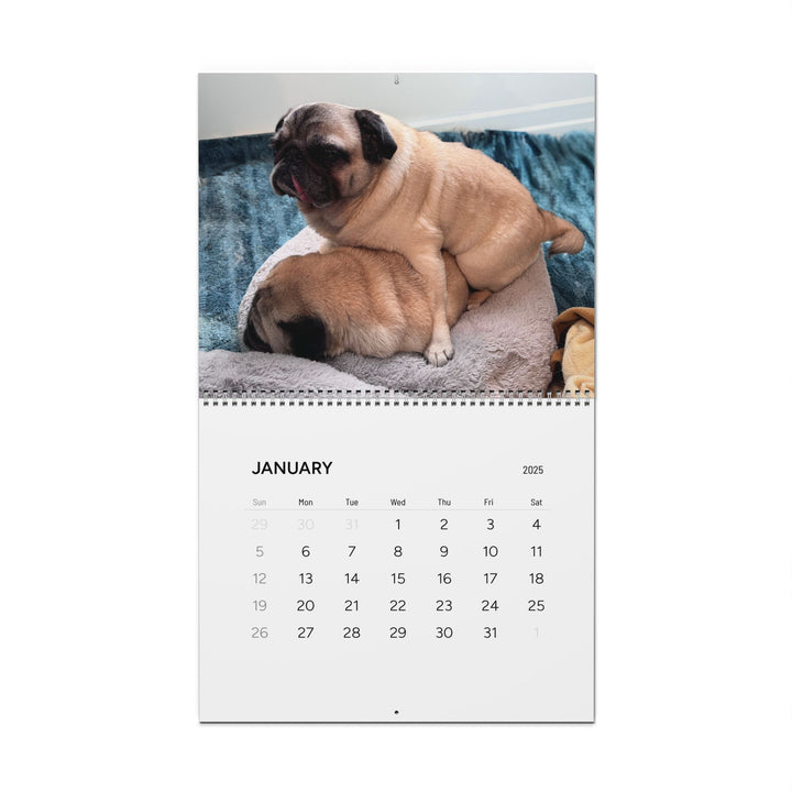 Pugs in Compromising Positions Wall Calendars 2025