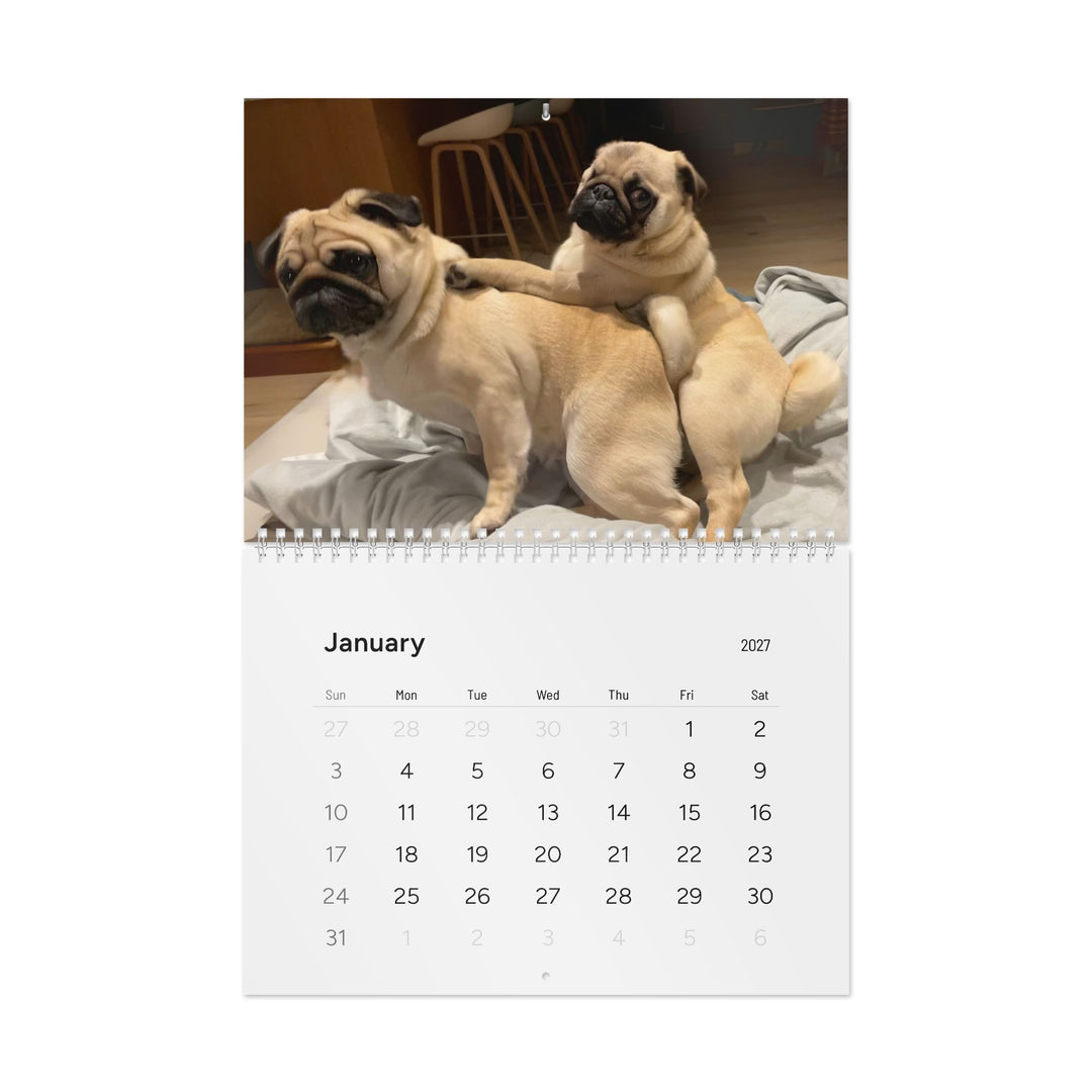 Pugs in Compromising Positions Wall Calendars 2027