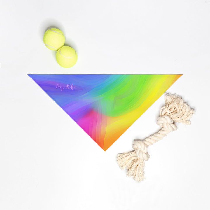 Rainbow Pride Triangle Small Breed Pet Bandana