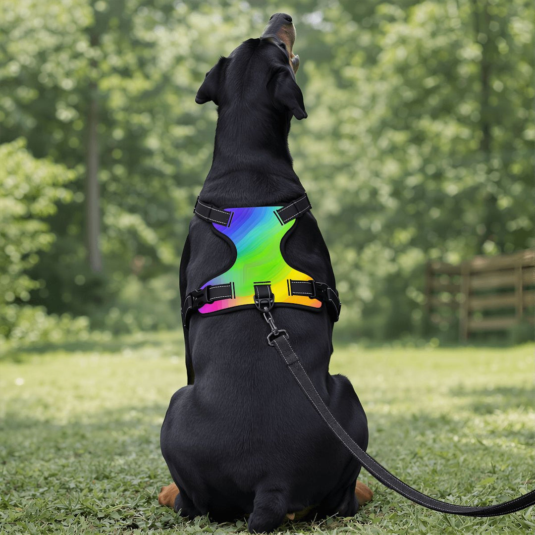 Rainbow Dog Harness