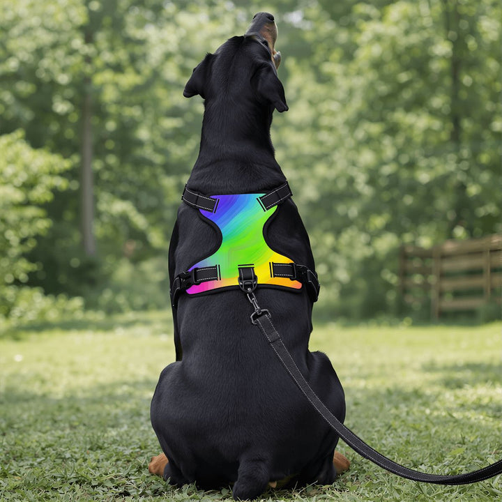 Rainbow Dog Harness