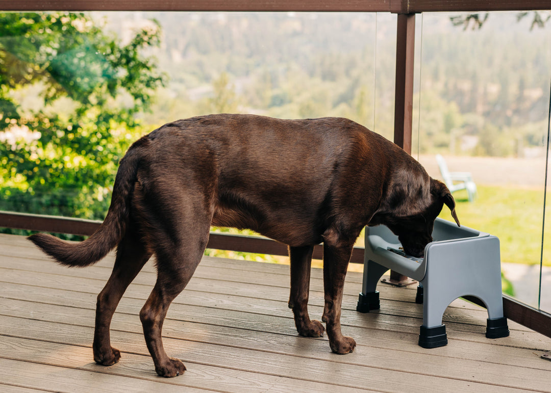 Fluff Trough XL Binge Blocker Set
