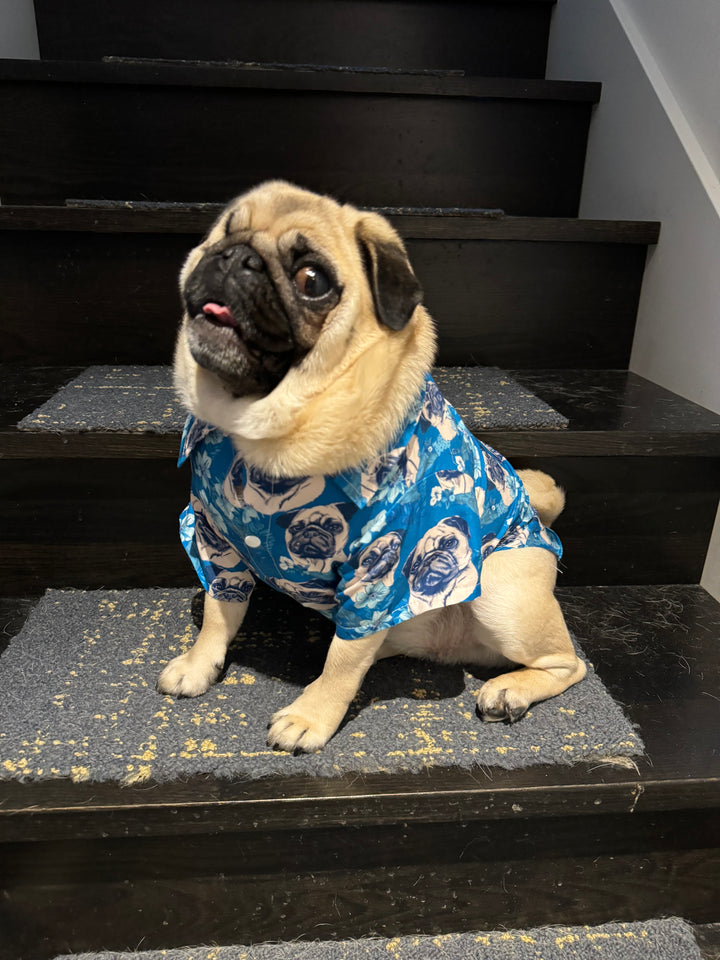 Blue Hawaii Pet Aloha Shirt