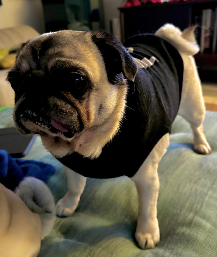 Pug Life Sports Tank - Agility, Champion, Detector, Freestyle, Obedience, Trick, Rally, Sniffer