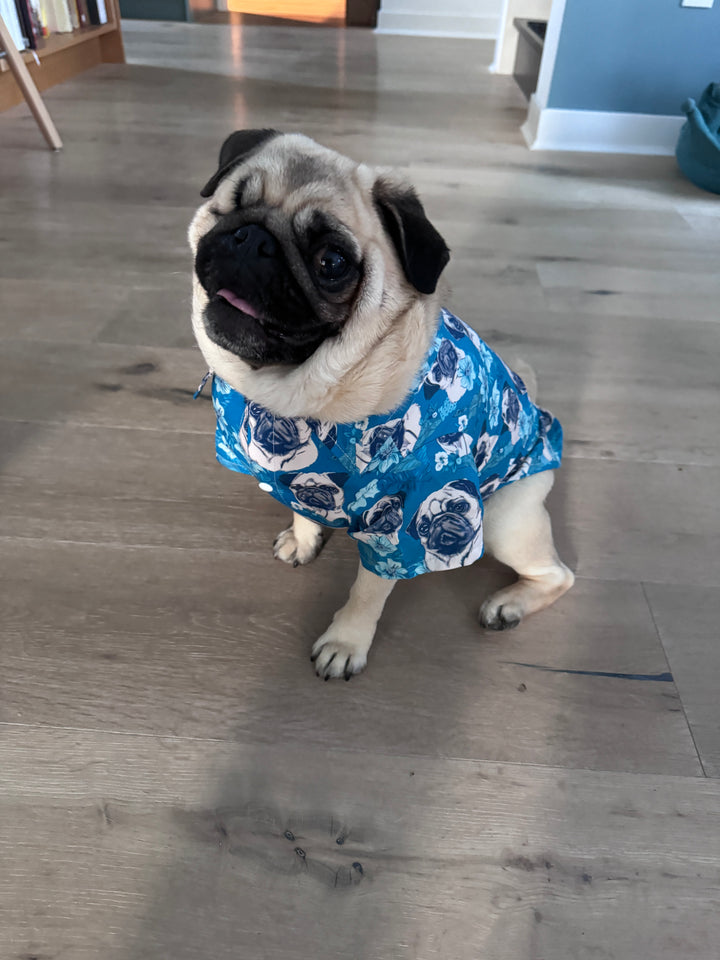 Blue Hawaii Pet Aloha Shirt
