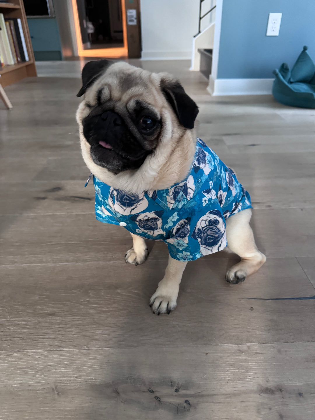 Blue Hawaii Pet Aloha Shirt