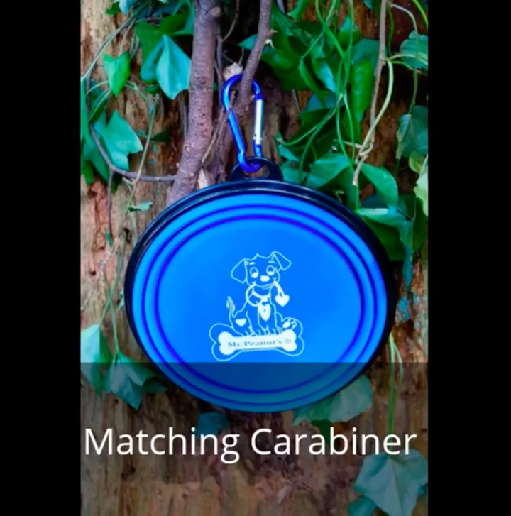 Single Blue Silicone Collapsible Travel Bowl - 12oz