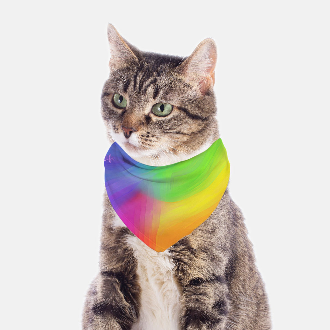 Rainbow Pride Triangle Small Breed Pet Bandana