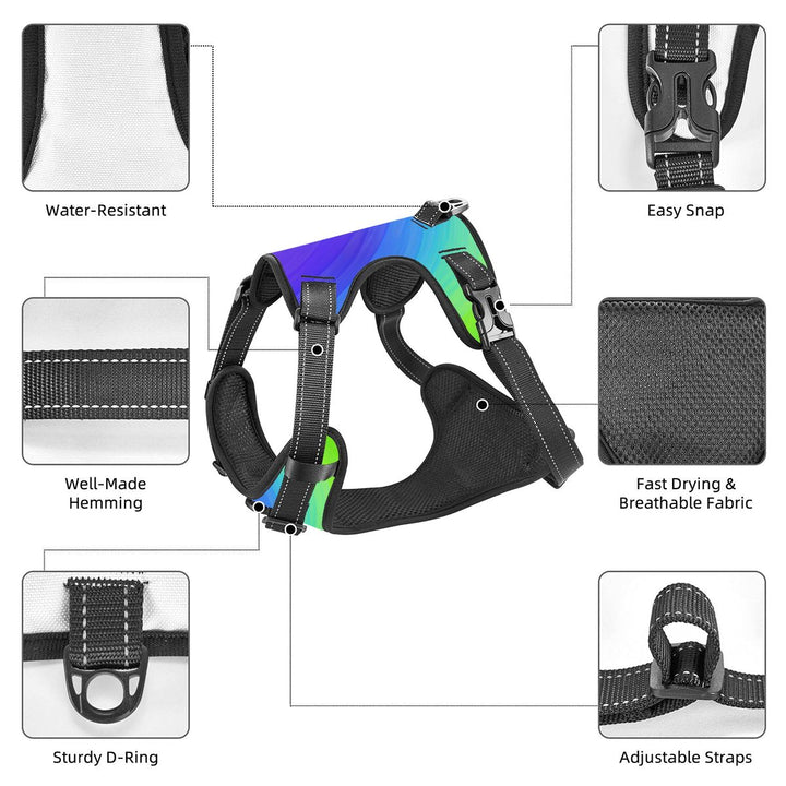 Rainbow Dog Harness