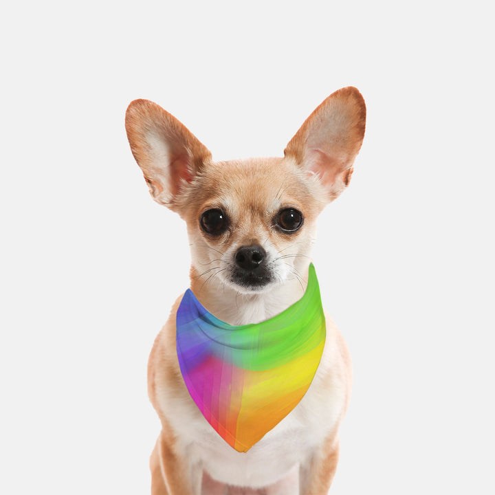 Rainbow Pride Triangle Small Breed Pet Bandana