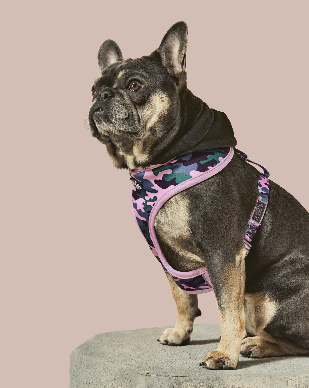 Camo QT Pink Hoodie Harness