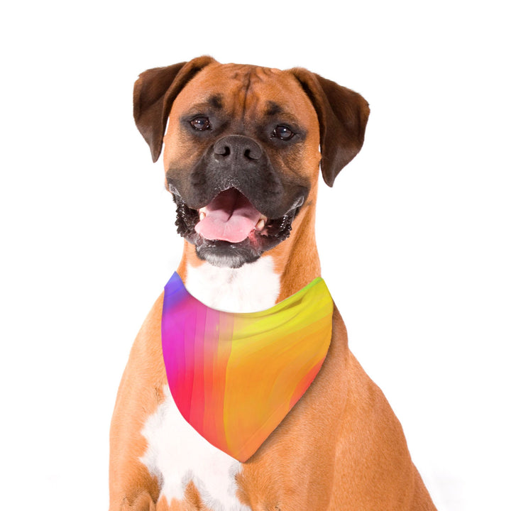 Rainbow Pride Triangle Pet Bandana