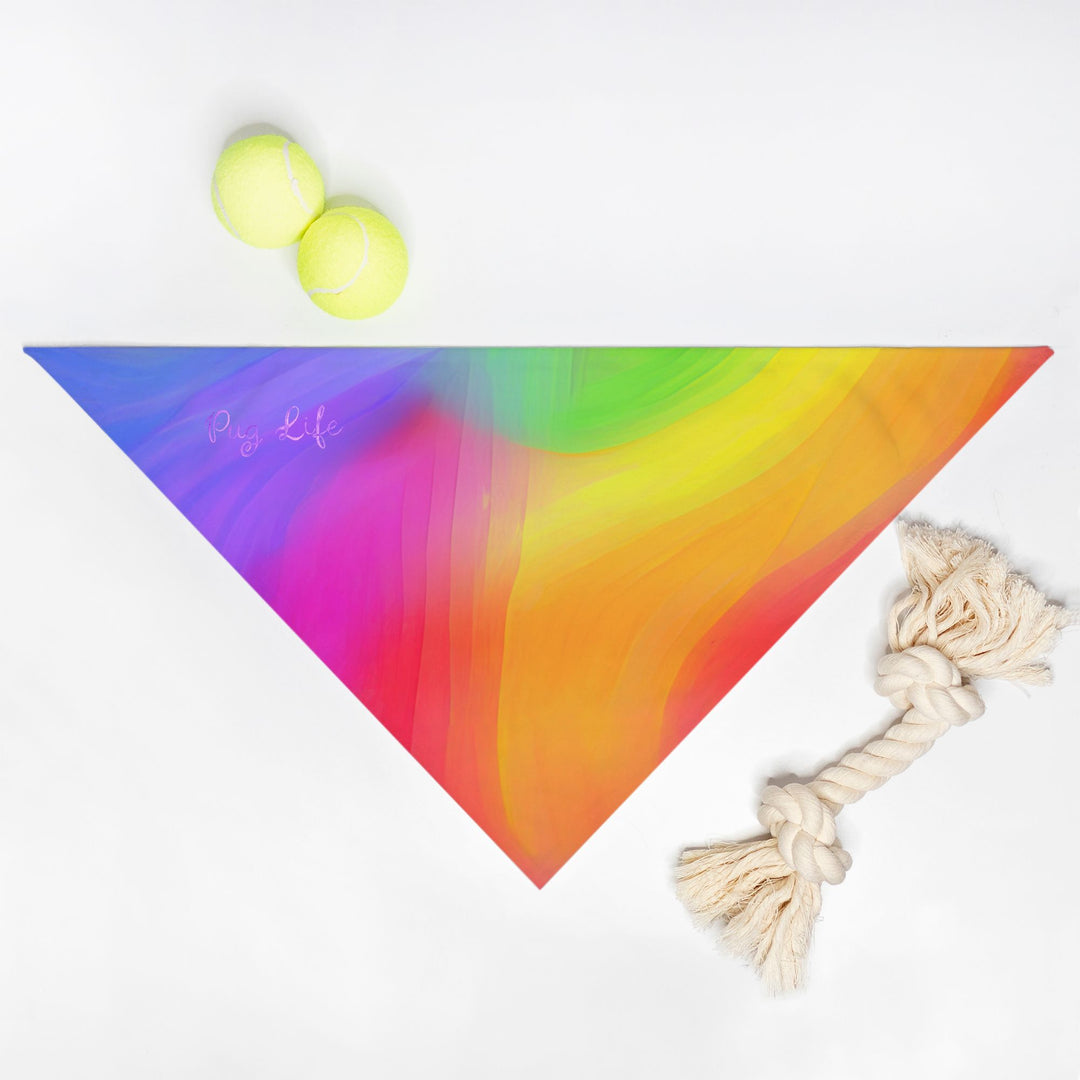 Rainbow Pride Triangle Pet Bandana