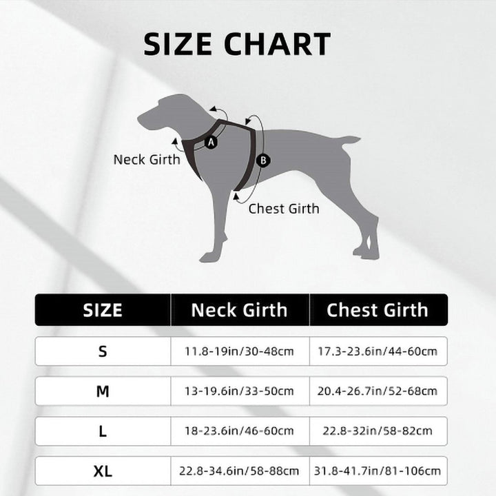 Size Chart for harness