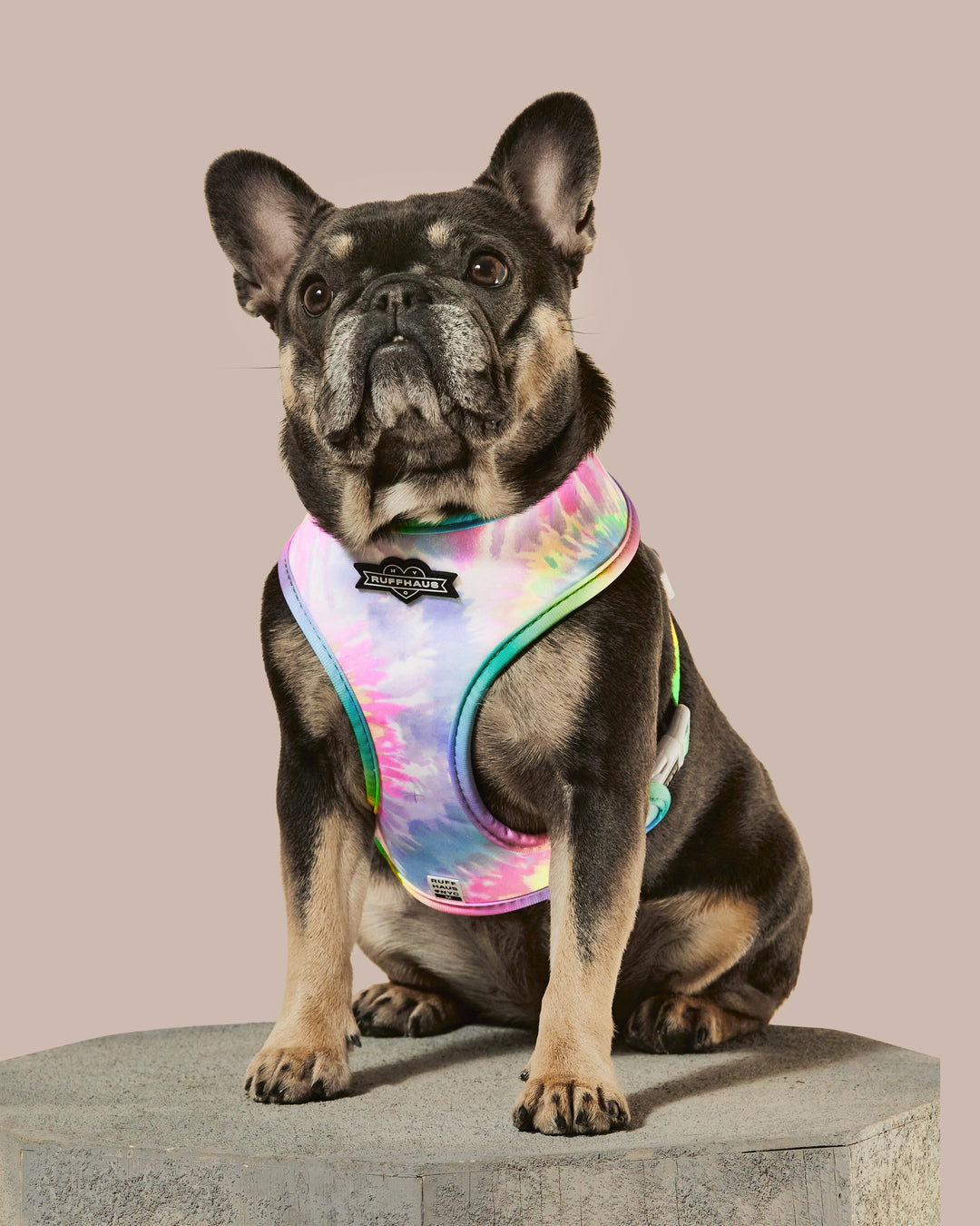 Rainbowtooth Reversible Harness
