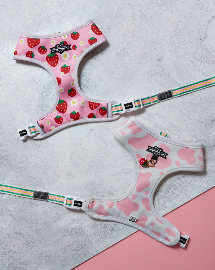 Strawberry Milk Reversible Harness