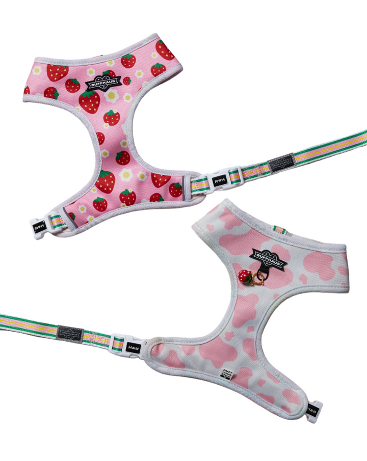 Strawberry Milk Reversible Harness