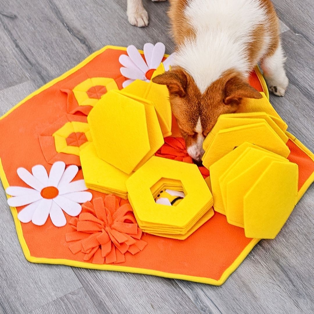 Honey Scavenger Snuffle Mat Interactive Toy for Dogs Pug Life