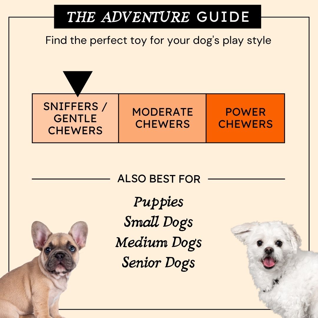 Honey Scavenger Snuffle Mat Interactive Toy for Dogs Pug Life