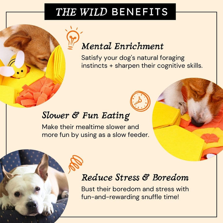 Honey Scavenger Snuffle Mat Interactive Toy for Dogs Pug Life