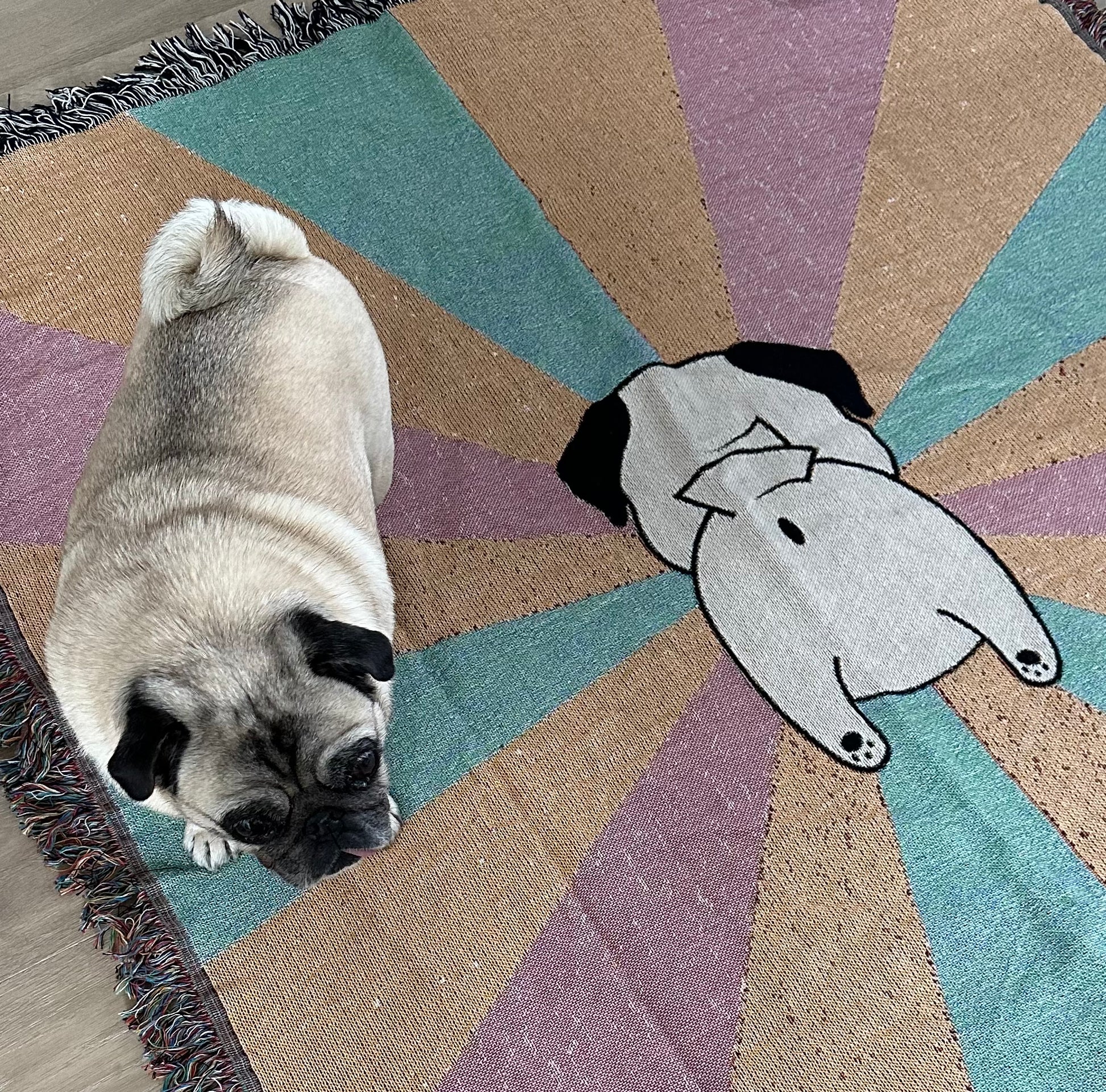 Pug blankets clearance